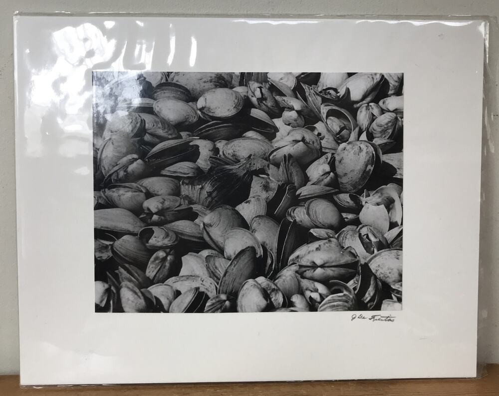 J de Freitas B&W Clam Shells Original Art Nautical Ocean Sea Photograph Print
